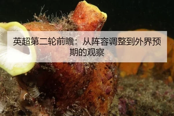 英超第二轮前瞻：从阵容调整到外界预期的观察（c7）